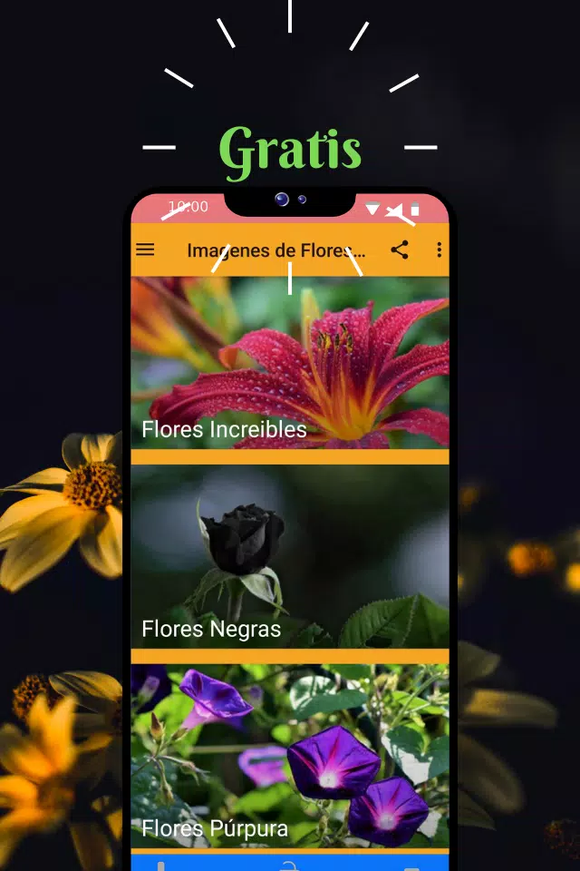 下载Imagenes de Flores Bonitas的安卓版本 下载Imagenes de Flores Bonitas的安卓版本