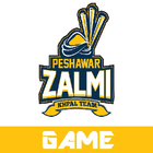 Peshawar Zalmi Player Game icon