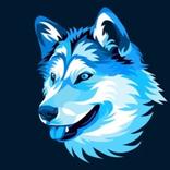 Wolf Wallpapers 2023 4K HD