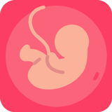 Gestational Age (baby's age) APK