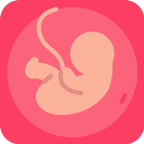 Âge gestationnel (âge du bébé) APK