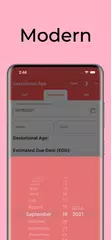 Скачать Gestational Age (baby's age) XAPK