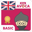 AVOCA: ENGLISH - Memorize Words (Basic)