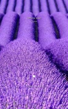 Lettera Esse 截图 3