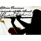 Elena Cecconi Flutist - Poet-icoon