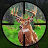 Animal Hunting : Square Sniper