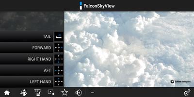 FalconSkyView Affiche