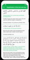 Short Surahs 스크린샷 2