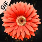 Flowers Pictures Gifts icon