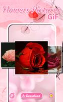 Flowers Pictures Gifts poster