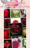Flowers Pictures Gifts screenshot 3