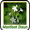 Manfaat Daun icon