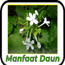 Manfaat Daun APK