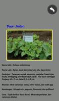 Manfaat Daun screenshot 3
