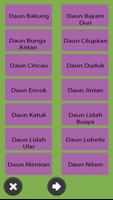 Manfaat Daun poster