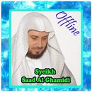 Syeikh Saad Al Ghamidi Offline APK