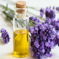 HOW TO MAKE ESSENTIAL OIL Affiche
