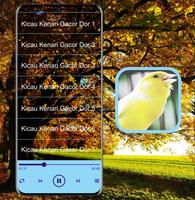 Masteran Kicau Burung Kenari Ekran Görüntüsü 1