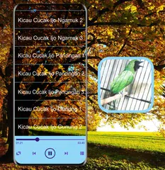 Masteran Kicau Cucak Ijo Mp3 XAPK Herunterladen