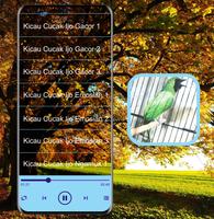 Masteran Kicau Cucak Ijo Mp3 capture d'écran 2