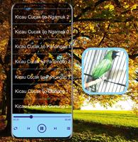 Masteran Kicau Cucak Ijo Mp3 screenshot 3
