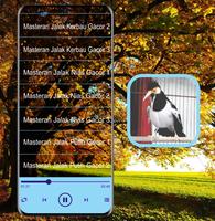 Masteran Kicau Jalak Suren Mp3 capture d'écran 3