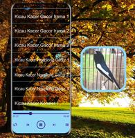 Masteran Kicau Kacer Mp3 পোস্টার