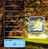 Masteran Kicau Pleci Mp3 Ekran Görüntüsü 2