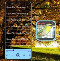 Masteran Kicau Pleci Mp3 Ekran Görüntüsü 3