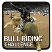 Bull Riding Challenge
