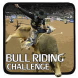 Bull Riding Challenge