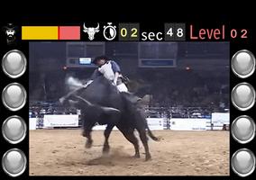 Bull Riding Challenge - Rodéo  Affiche