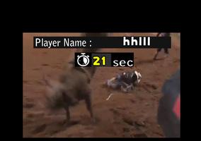 Bull Riding Challenge - Rodéo  capture d'écran 3