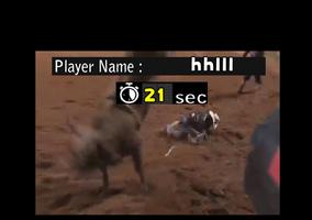 Bull Riding Challenge 截图 3