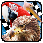 Bird Race 3D icône