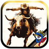 Bull Riding Challenge 4