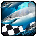 Fish Race aplikacja