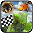 Insect Race biểu tượng