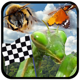 Insecte Course icône