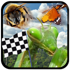 Insect Race أيقونة