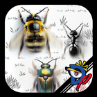 Insect Race-icoon