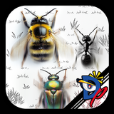 Insect Race icono