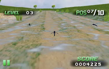 download Insect Race XAPK