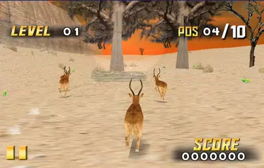 Savanne Tierrasse XAPK Herunterladen