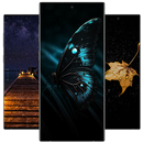 黑暗壁纸 APK