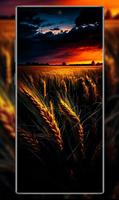Karamsar Duvar Kağıtları HD Ekran Görüntüsü 3