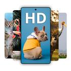 Animal Wallpaper HD icône