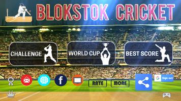 پوستر Blokstok Cricket