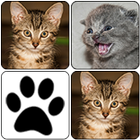 Cats Memory Game icône