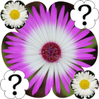 Flowers Memory Game icono